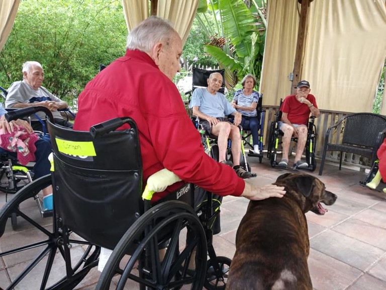 exercises-for-the-wheelchair-bound-a-banyan-residence